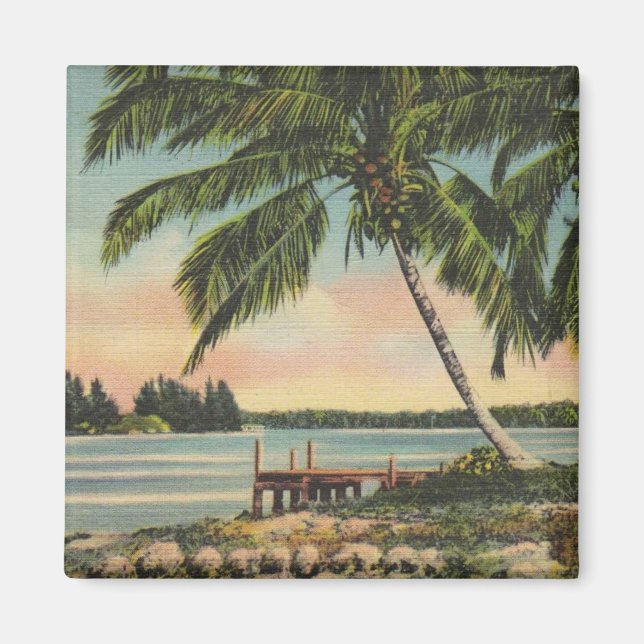Vintage Coconut Palm Tree Tropical Breeze Sunset Magnet (Front)