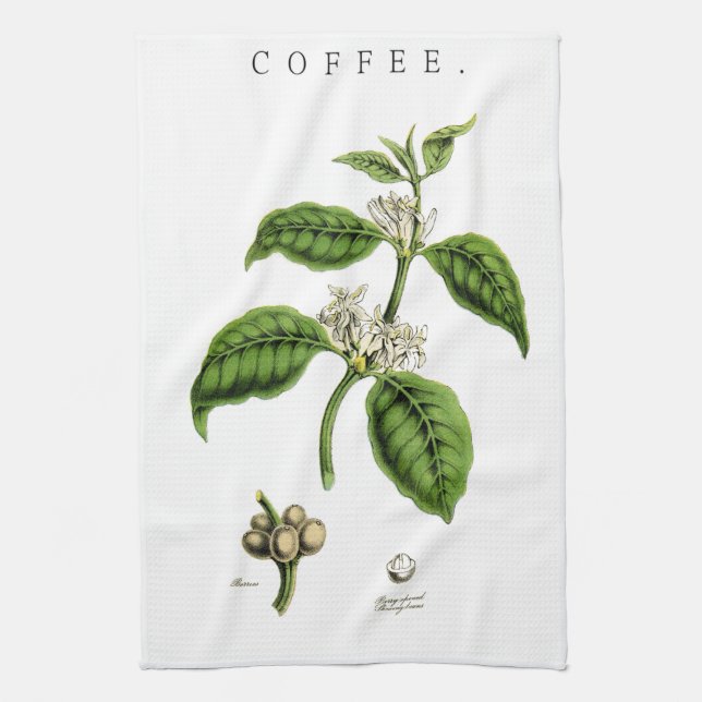 Vintage Coffee Plant Illustration Tea Towel (Vertical)