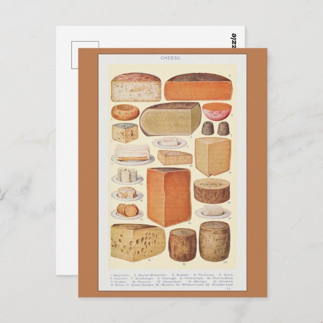 Vintage Collage of Household Cheeses, Beeton, 1923 Postcard (Front/Back)