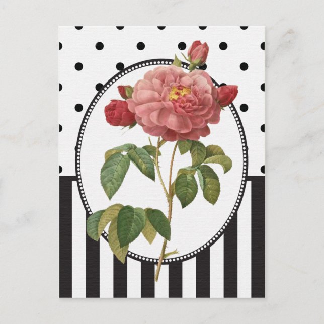 Vintage Collage Pink Rose Botanical Print Postcard (Front)