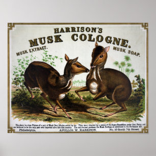 Vintage Cologne Advertising Poster