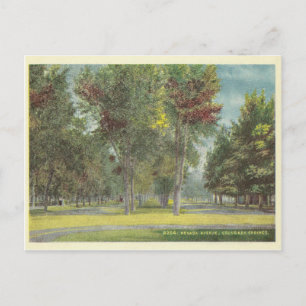 Vintage Colorado Springs Postcard