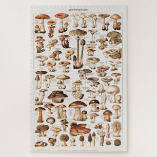 Vintage Colorful Mushrooms By Adolphe Millot Jigsaw Puzzle