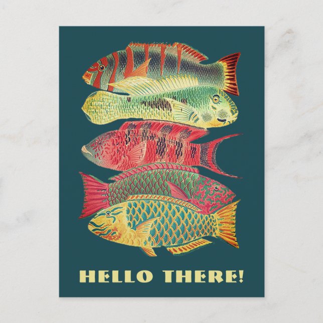Vintage Colourful Barrier Reef Fish Hello There Postcard (Front)