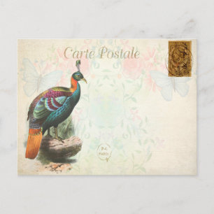 Vintage Colourful Exotic Bird Floral French Postcard