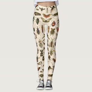 Vintage Colourful Insects Entomology Taxonomy Leggings