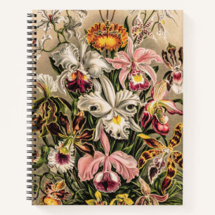 Vintage Colourful Orchids by Ernst Haeckel Notebook