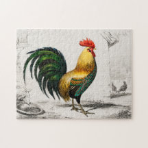 Vintage Colourful Rooster Illustration Art