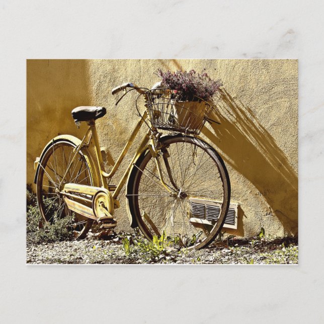 Vintage Colourful Yellow Bicycle   Postcard (Front)