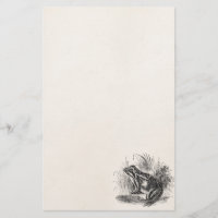 Vintage Common Frog - Reptile Frogs Template Blank