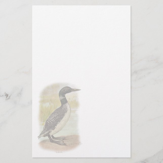 Vintage Common Loon Stationery (Front)
