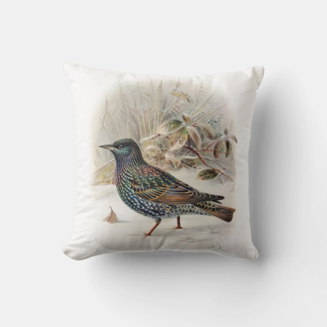 Vintage Common Starling Bird Cushion (Front)