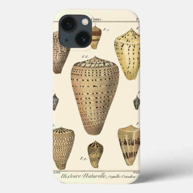 Vintage Cone Shells Case-Mate iPhone Case (Back)