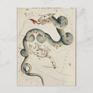 Vintage Constellation Illustration Postcard