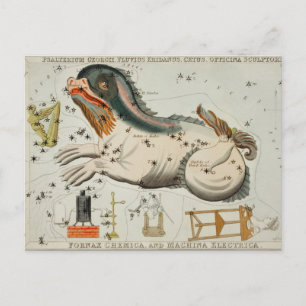 Vintage Constellation Illustration Postcard
