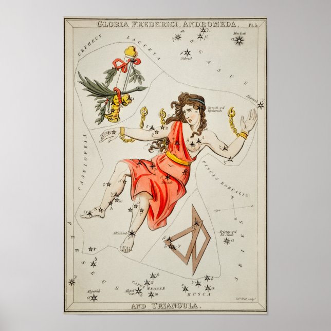 Vintage Constellation Illustration Poster (Front)