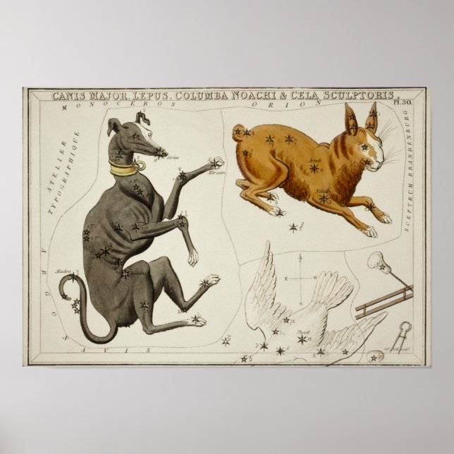 Vintage Constellation Illustration Poster (Front)