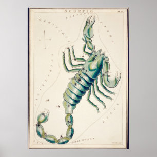 Vintage Constellation Illustration Poster