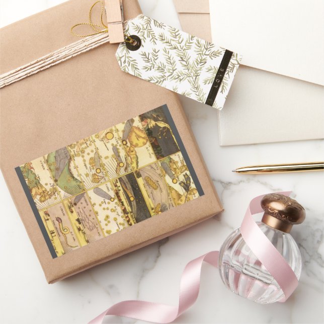 Vintage Constellations, Antique Astronomy & Stars Rectangular Sticker (Gifting)