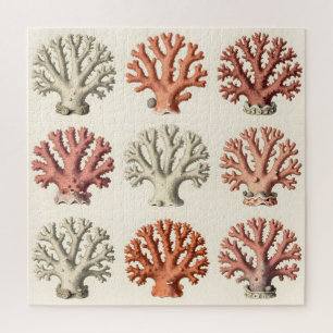 Vintage Coral Specimens Botanical Marine Jigsaw Puzzle