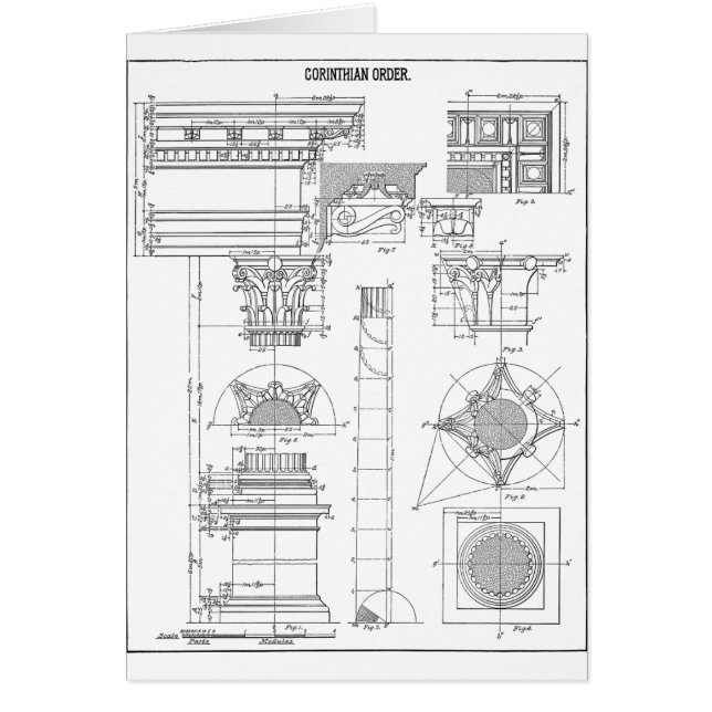 Vintage corinthian architecture (Front)