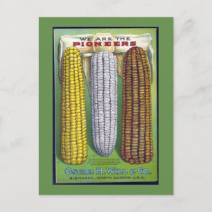 Vintage Corn Seed Packet Post Card