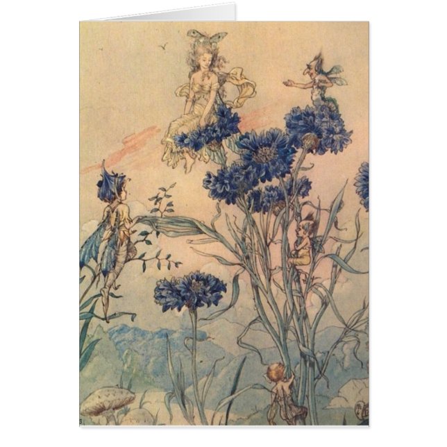 Vintage - Cornflower Fairies, (Front)