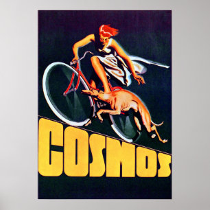 Vintage Cosmos Bicycle Poster