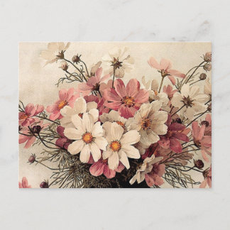 Vintage Cosmos Bouquet Postcard