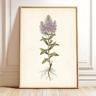 Vintage Cottage Botanical Canvas Print