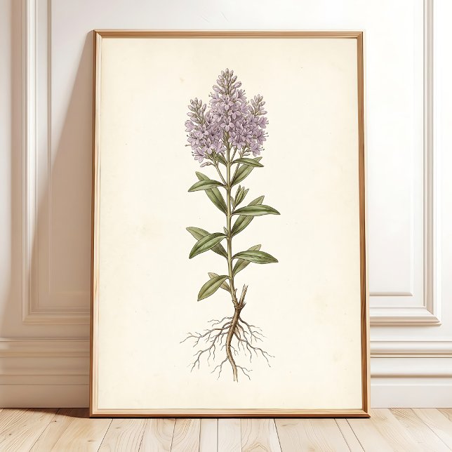 Vintage Cottage Botanical Canvas Print (Creator Uploaded)