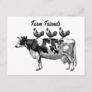 Vintage Country Farm cow roosters animals postcard
