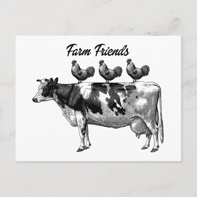 Vintage Country Farm cow roosters animals postcard (Front)