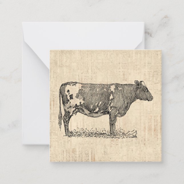 Vintage Cow Art Illustration w/ Script Background Card (Front)