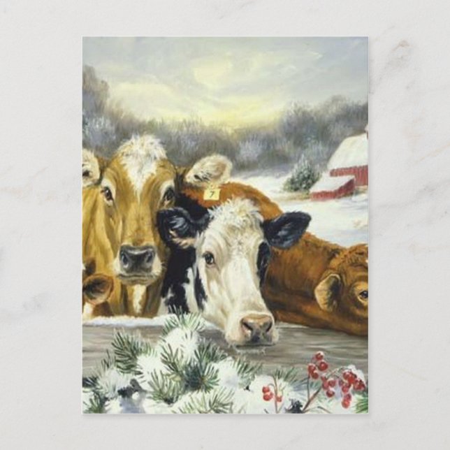 Vintage Cow Image Postcard (Front)