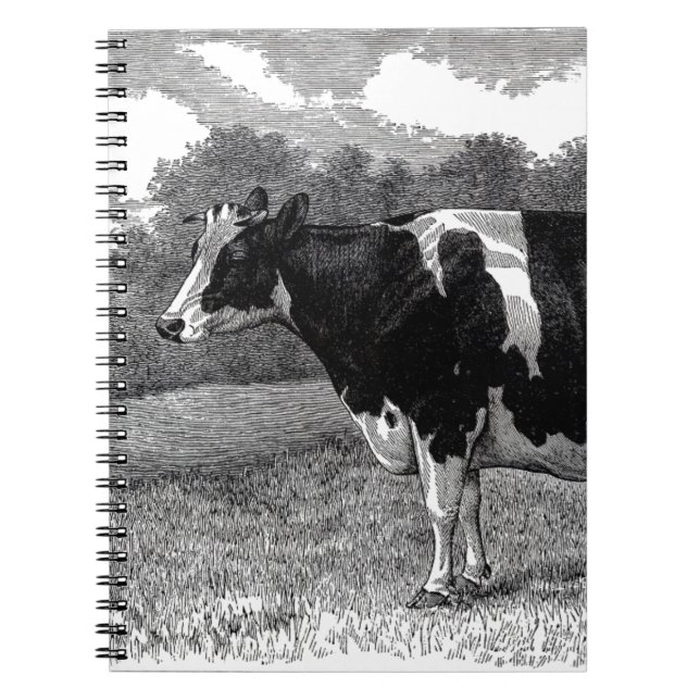 Vintage Cow Notebook (Front)