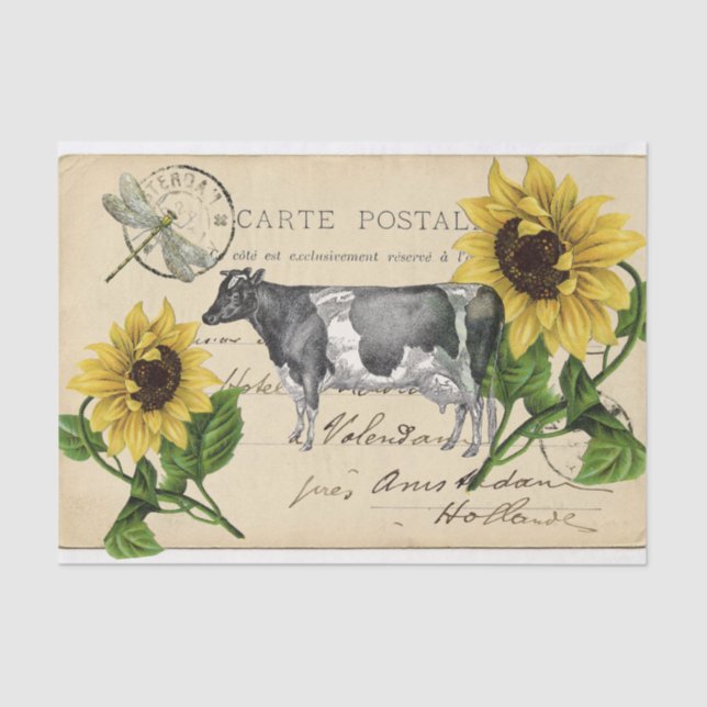 Vintage Cow Yellow Sunflower Postcard Tissue Paper (Front)