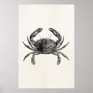 Vintage Crab Antique Crabs Personalised Template Poster