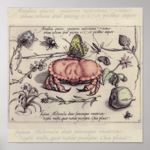 Vintage Crab, Botanicals, Insects, and Flowers Poster