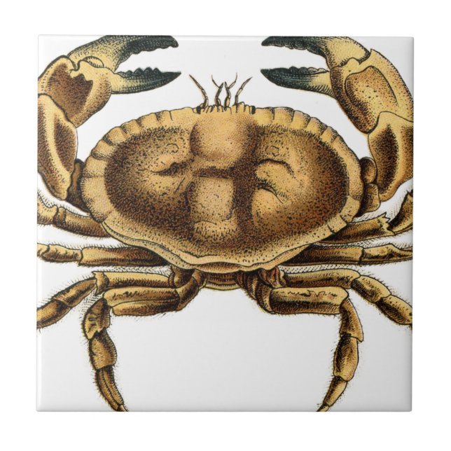 Vintage Crab Tile (Front)