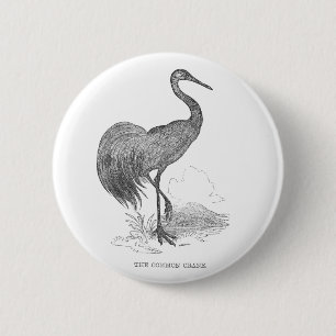 Vintage Crane Bird Pen and Ink Drawing 6 Cm Round Badge