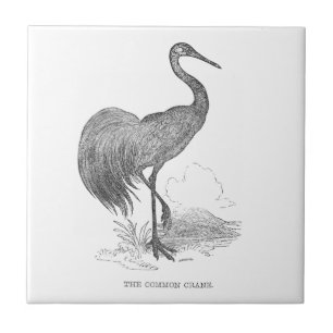 Vintage Crane Bird Pen and Ink Drawing Ceramic Tile