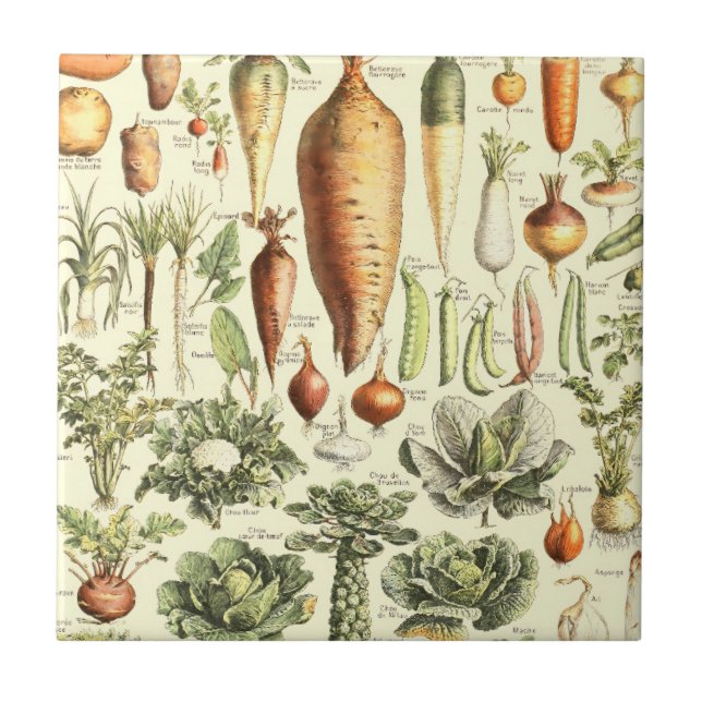 Vintage Cream Vegetables Pattern Ceramic Tile (Front)
