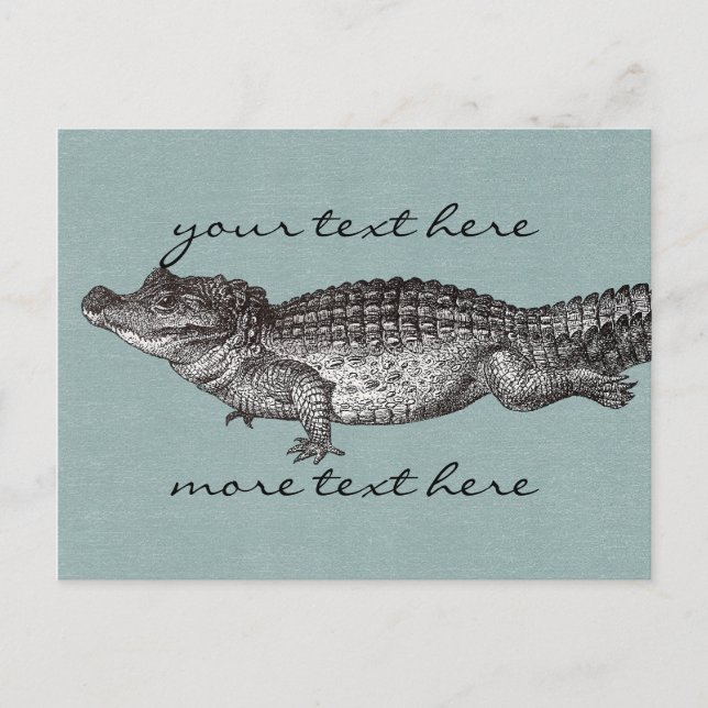 Vintage Crocodile Post Card (Front)
