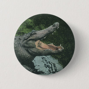 Vintage Crocodile Reptiles, Marine Animal Life 6 Cm Round Badge