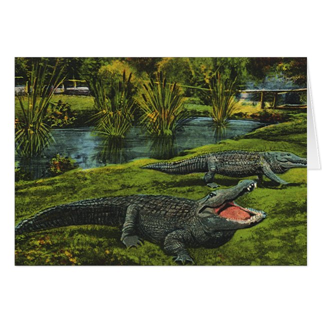 Vintage Crocodiles, Marine Life Reptiles Animals (Front Horizontal)