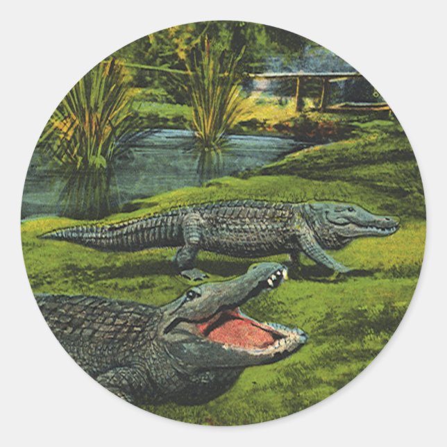Vintage Crocodiles, Marine Life Reptiles Animals Classic Round Sticker (Front)