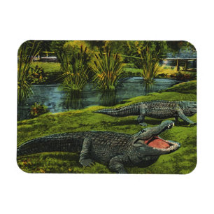 Vintage Crocodiles, Marine Life Reptiles Animals Magnet