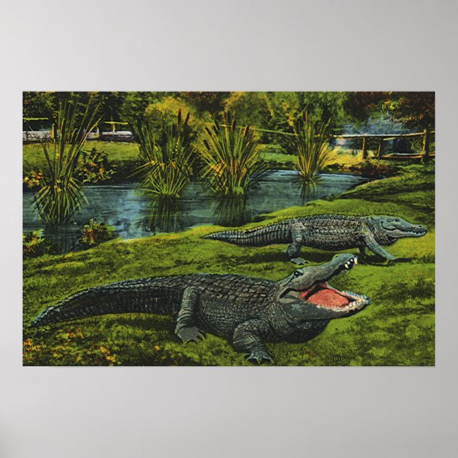 Vintage Crocodiles, Marine Life Reptiles Animals Poster (Front)