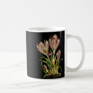 Vintage Crocus Flower Botanical Plants For Men And Coffee Mug